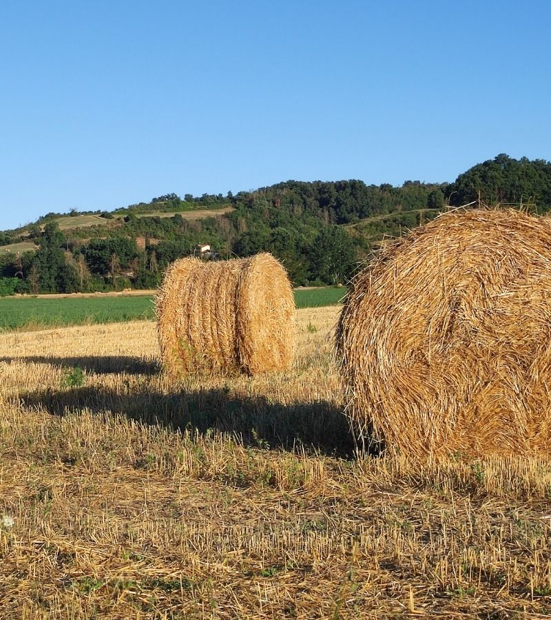 October offer for groups 